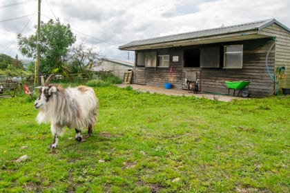 Dog friendly cottages near hadrian's wall sales